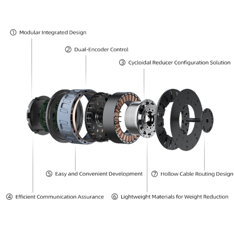 Attuatore a Giunto Cicloidale, - Cycloidal Reducer Bldc Motor recensione e prezzo